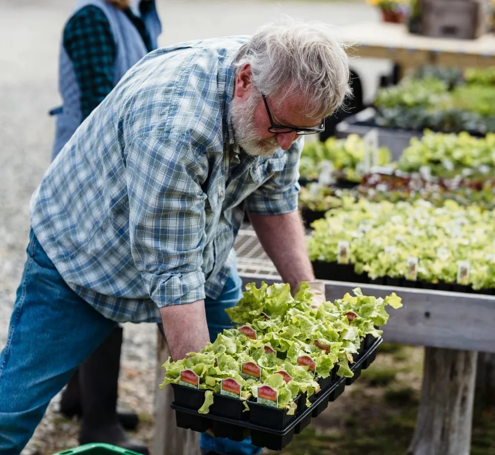 A producer placing a tray of fresh produce on a farm stand